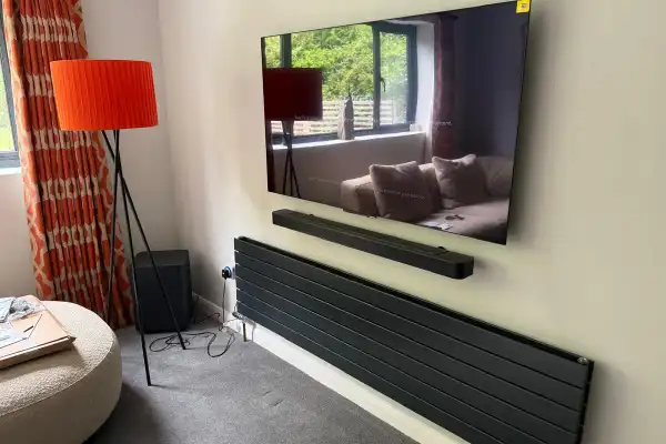 65" Panasonic with Sonos Arc — Kelvedon — image 8