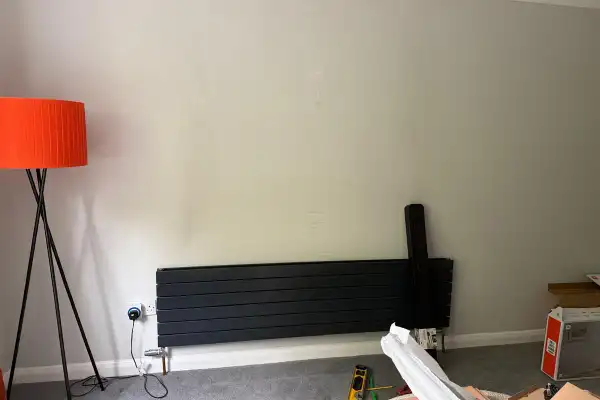 65" Panasonic with Sonos Arc — Kelvedon — image 3